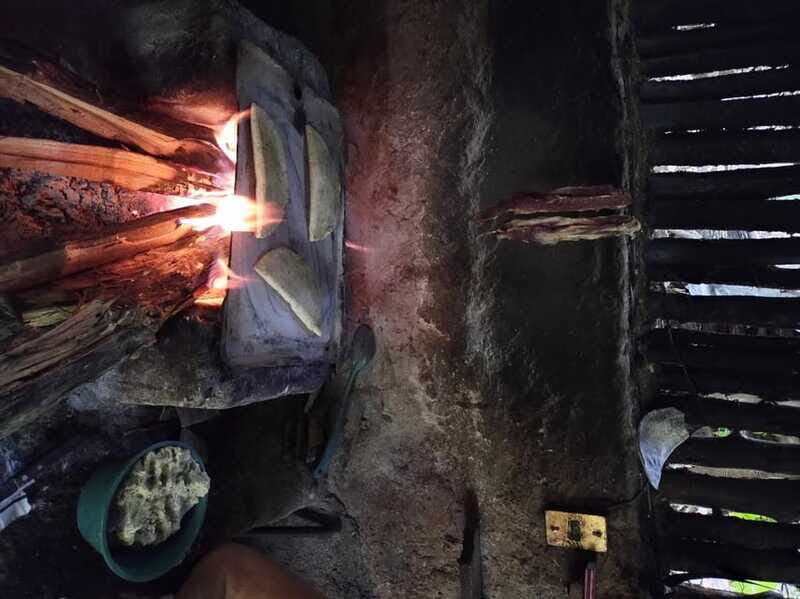 Chiapas Highlands: Ancient Rituals and Traditions Tour - Final Thoughts: Who Will Love This Tour?