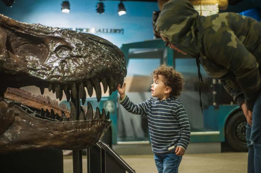 Chicago: Chicago Children's Museum Entry Ticket - What Are the Highlights?