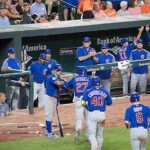 Chicago Cubs Baseball Game at Wrigley Field - Final Thoughts: Is It Worth It?