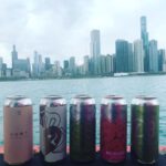 Chicago: Happy Hour Cruise - The Value of a Water Perspective