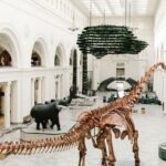 Chicago Self-Guided Audio Tour - Practical Aspects and What to Expect