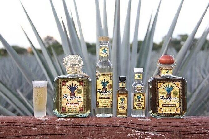 Chichen Itza, Cenote, Tequila and Valladolid Tour from Tulum - Why This Tour Offers Good Value