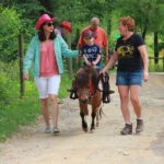 Children Mini Horse Rides - The Experience and Its Value