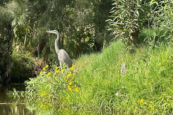 Chinampas Eco Immersion Mexico City - Practical Details and Value