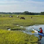 Chincoteague Kayak Rentals around Assateague Island - The Sum Up