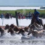 Chincoteague Pony Swim Kayak Tour 2026 with shuttle - What Makes This Tour Stand Out
