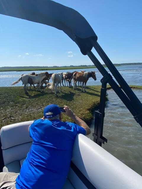 Chincoteague: Premier Pony & Wildlife Small Group Boat Tour - Who Will Love This Tour?