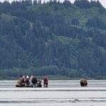 Chinitna Bay Bear Viewing Flight Tour from Talkeetna - Why the Price Reflects the Experience