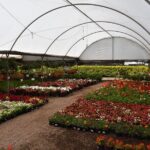 Cholula and Atlixco tour (private tour) - Practical Details and What to Expect