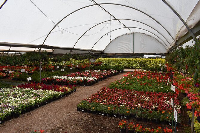 Cholula and Atlixco tour (private tour) - Practical Details and What to Expect