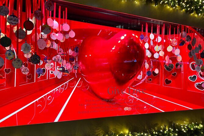 Christmas Holiday Lights Private Tour - What You’ll Experience: A Step-by-Step Breakdown