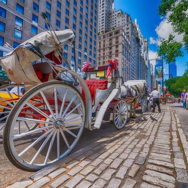 Christmas in Central Park: Horse Carriage Holiday Tour - Who Should Consider This Tour?