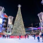Christmas in LA Holiday Tour - Who Will Love This Tour?