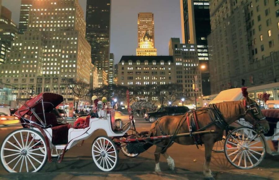 Christmas in New York: Holiday Lights Horse Carriage Ride - Why This Tour Matters