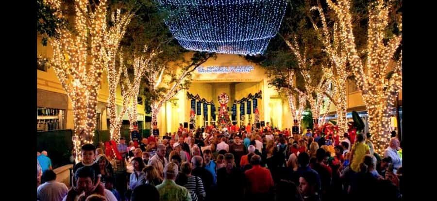 Christmas in New York: Skip-the-Line Holiday Lights Tour - Who Will Love This Tour?