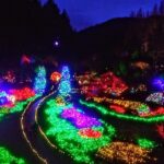 Christmas in Victoria and the Butchart Gardens - The Practical Details: What You Need to Know