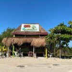 Chunky Monkey Beach Club - The Reality According to Reviews