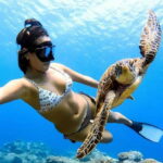 Cielo y Cielito With Transfer, Catamaran, 5 hours Open Bar and Lunch - Practical Details and Considerations