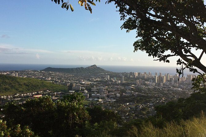 Circle Island 8hr Private Small Group Tour - The Itinerary—What You’ll See and Experience