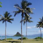 Circle Island Tour: Exclusively for Couples & Honeymooners - How the Experience Adds Value