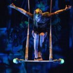Cirque du Soleil Joya Show Tickets - The Ticket and Pricing