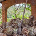 City and Tequila Tour in Puerto Vallarta - A Full Breakdown of the Puerto Vallarta City and Tequila Tour