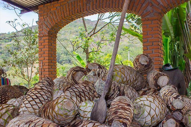 City and Tequila Tour in Puerto Vallarta - A Full Breakdown of the Puerto Vallarta City and Tequila Tour