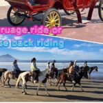 City Carriage Tours and Horseback Riding on the Beach - Authentic Experiences and Guide Insights