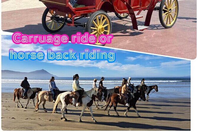 City Carriage Tours and Horseback Riding on the Beach - Authentic Experiences and Guide Insights