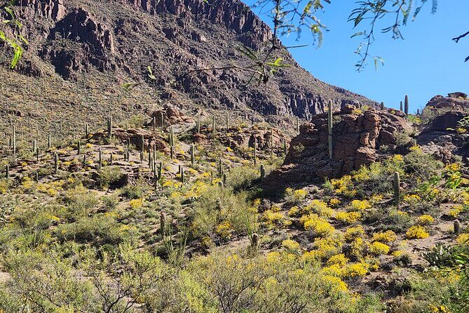 City of Tucson Tour - Practical Details and Tips