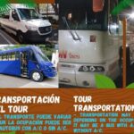 City tour express; butterfly, tequila, and beach an ecological day - The Experience: Pros & Cons Based on Reviews