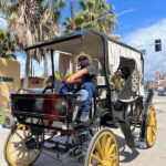 City tour on electric horse wagon. - Price and Value