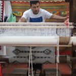 City Tour Private service - Who Will Love This Tour?