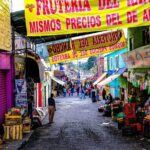 City tour Puerto Escondido - Transportation and Group Dynamics