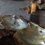 CityTour in Cabo San Lucas and Transparent Boat Tour to the Arch - What’s Included and What’s Not?