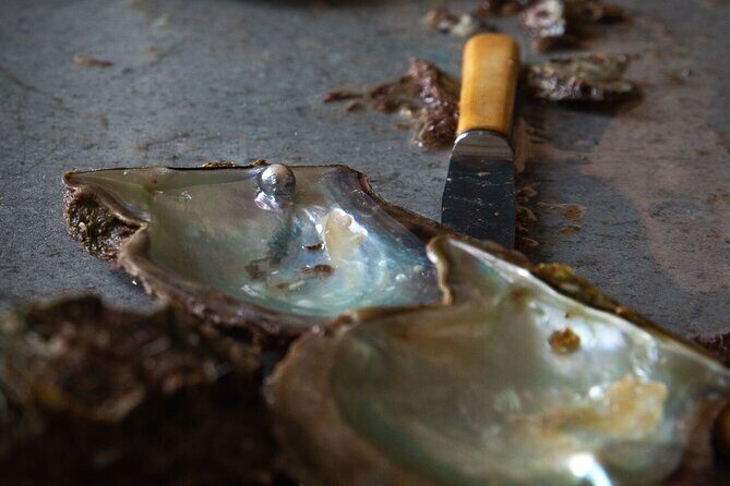 CityTour in Cabo San Lucas and Transparent Boat Tour to the Arch - What’s Included and What’s Not?