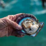 CityTour to San Jose, Cabo San Lucas and Arch Tour in Clearboat - Price and Value Assessment