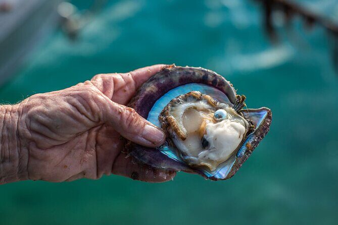 CityTour to San Jose, Cabo San Lucas and Arch Tour in Clearboat - Price and Value Assessment