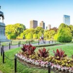 Classic Film and Television Locations Half Day Tour in Boston - Who Will Love This Tour?