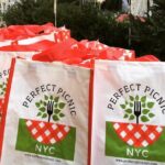 Classic Picnic for 2 (Grab and Go) - A Closer Look at the Picnic Experience