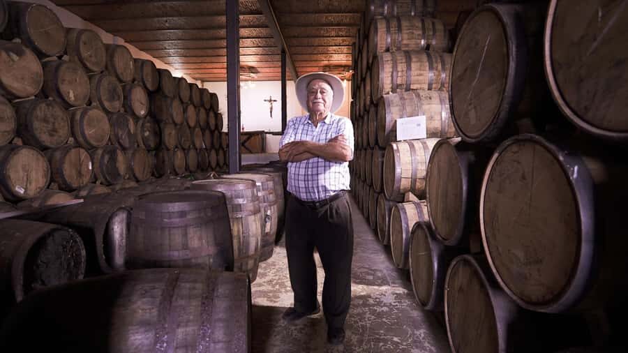 Classic Tequila Route Tour from Guadalajara and a few drinks at El Güero!!! - What’s Really Going for This Tour?