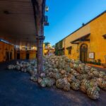 Classical Experience - Who Is This Tour Best For?