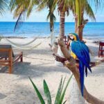 Clear Boat and Island Tour by Buggy with Mayan Experience - Transportation, Guides, and Group Size