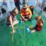 Clear Boat Ride with City Tour in Los Cabos - What the Reviews Say