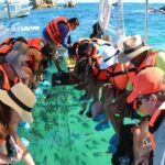 Clear Boat with City Tour - Final Thoughts: Is It Worth It?