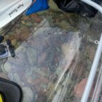 Clear Kayak Rentals for Flathead Lake - Did You Know? Additional Details and Tips