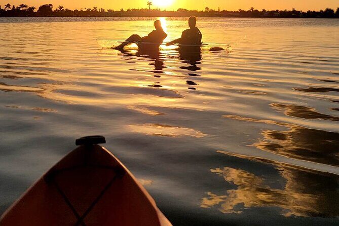 Clear Kayak Sunset Tour - Cocoa Beach - Authentic Feedback from Travelers
