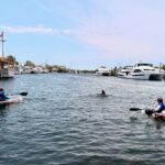 Clear Kayak Tour of Tarpon Springs Sponge Docks & Mangroves - The Itinerary: What to Expect on Your Paddle