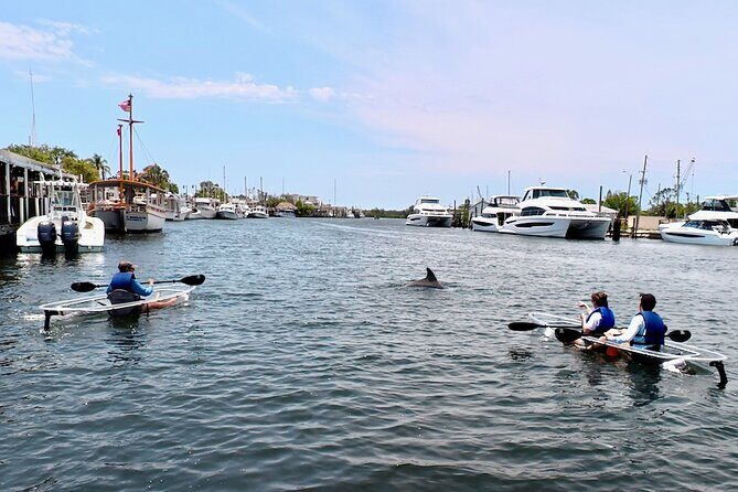 Clear Kayak Tour of Tarpon Springs Sponge Docks & Mangroves - The Itinerary: What to Expect on Your Paddle