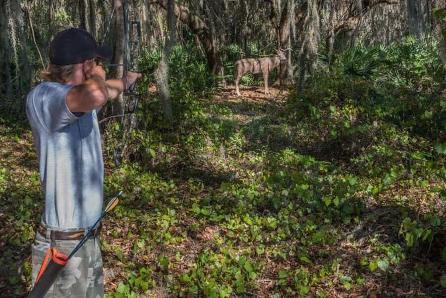 Clermont: Target Archery Experience - The Itinerary in Detail